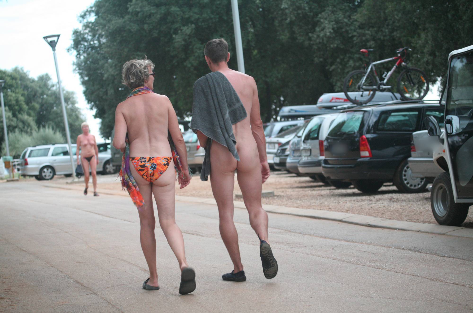 Nude Road Crossing Cuts - 2